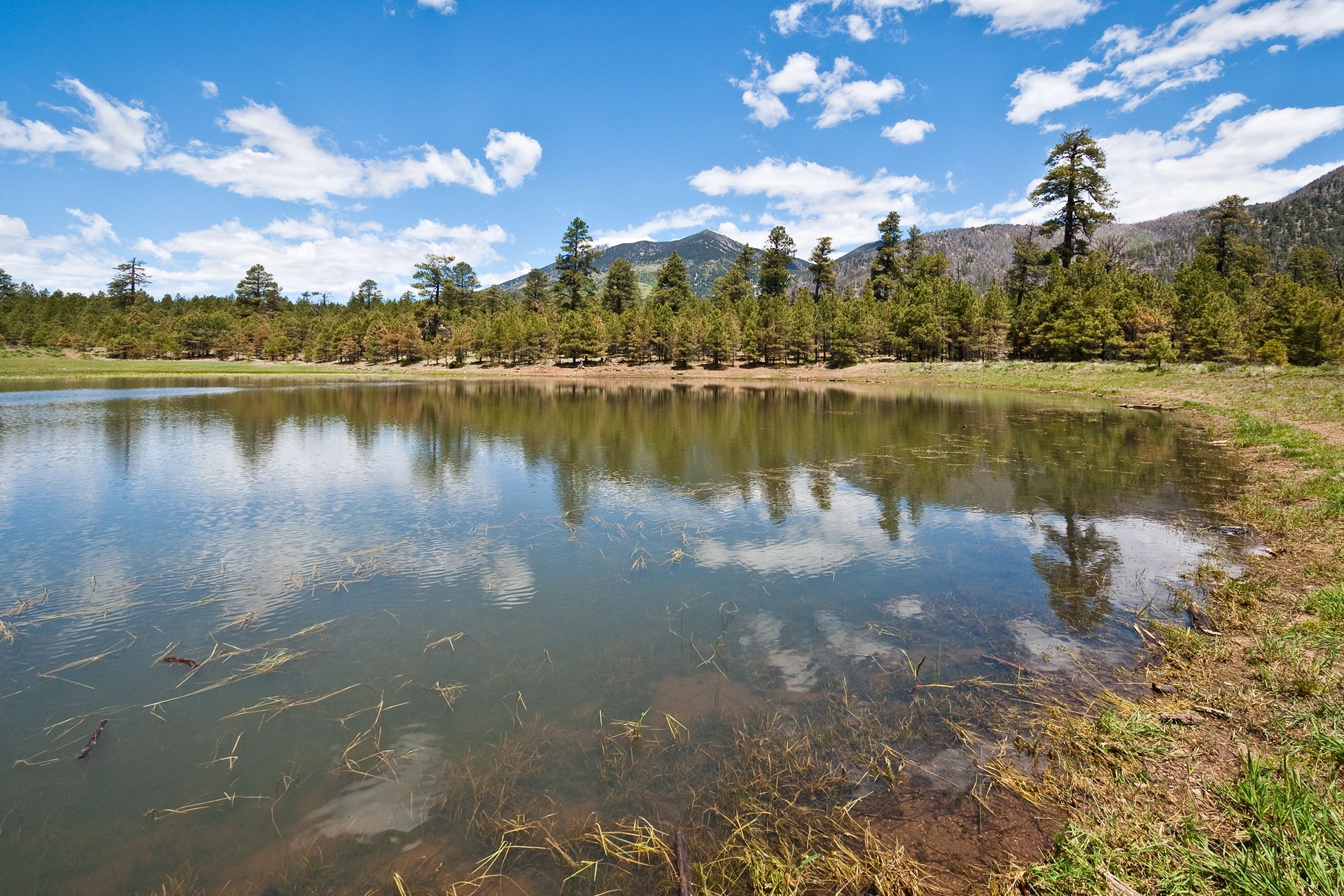 Schultz Tank; Coconino County, Arizona