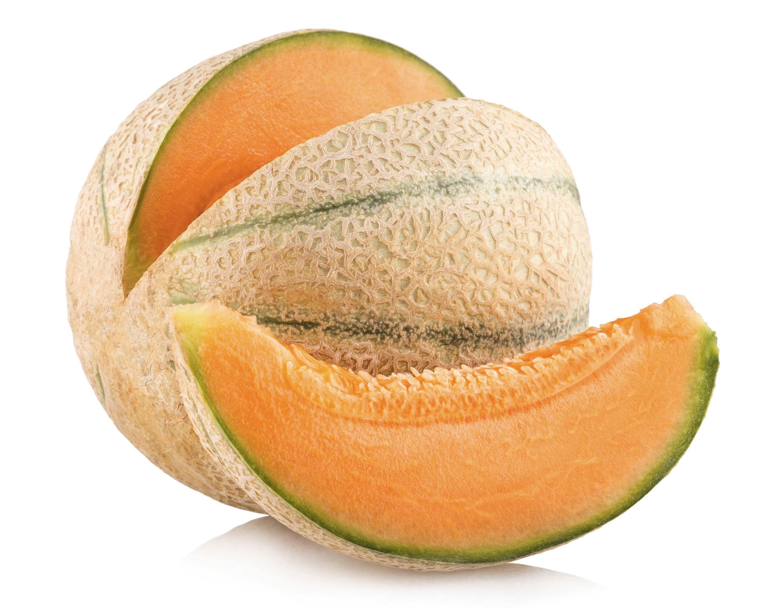 cantaloupe melon