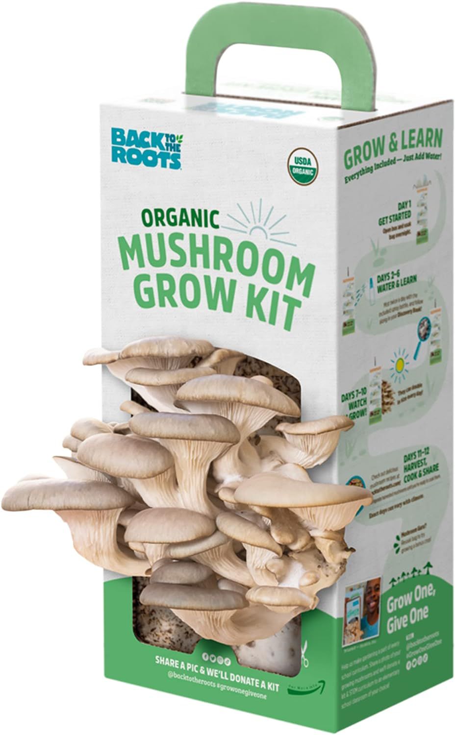 Back to the Roots Organic Oyster Mushroom Grow Kit