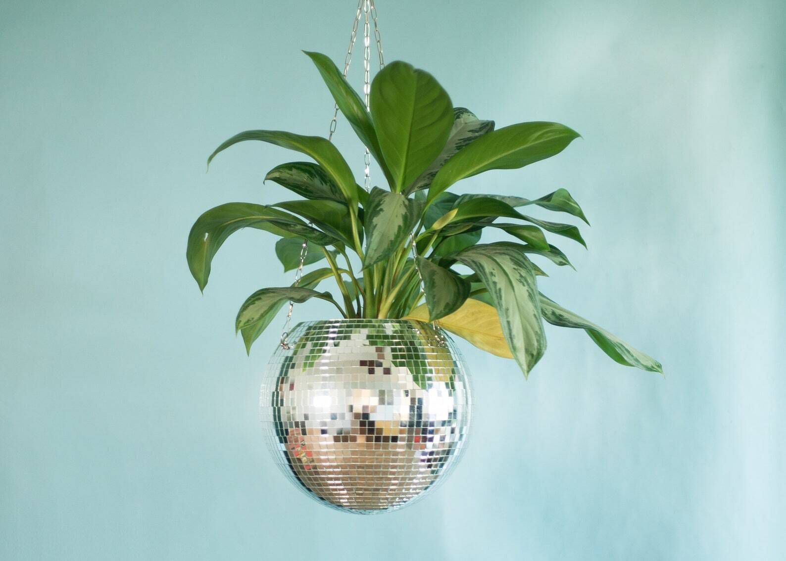 Disco Ball Plant Hanger By DadoDadoDesigns
