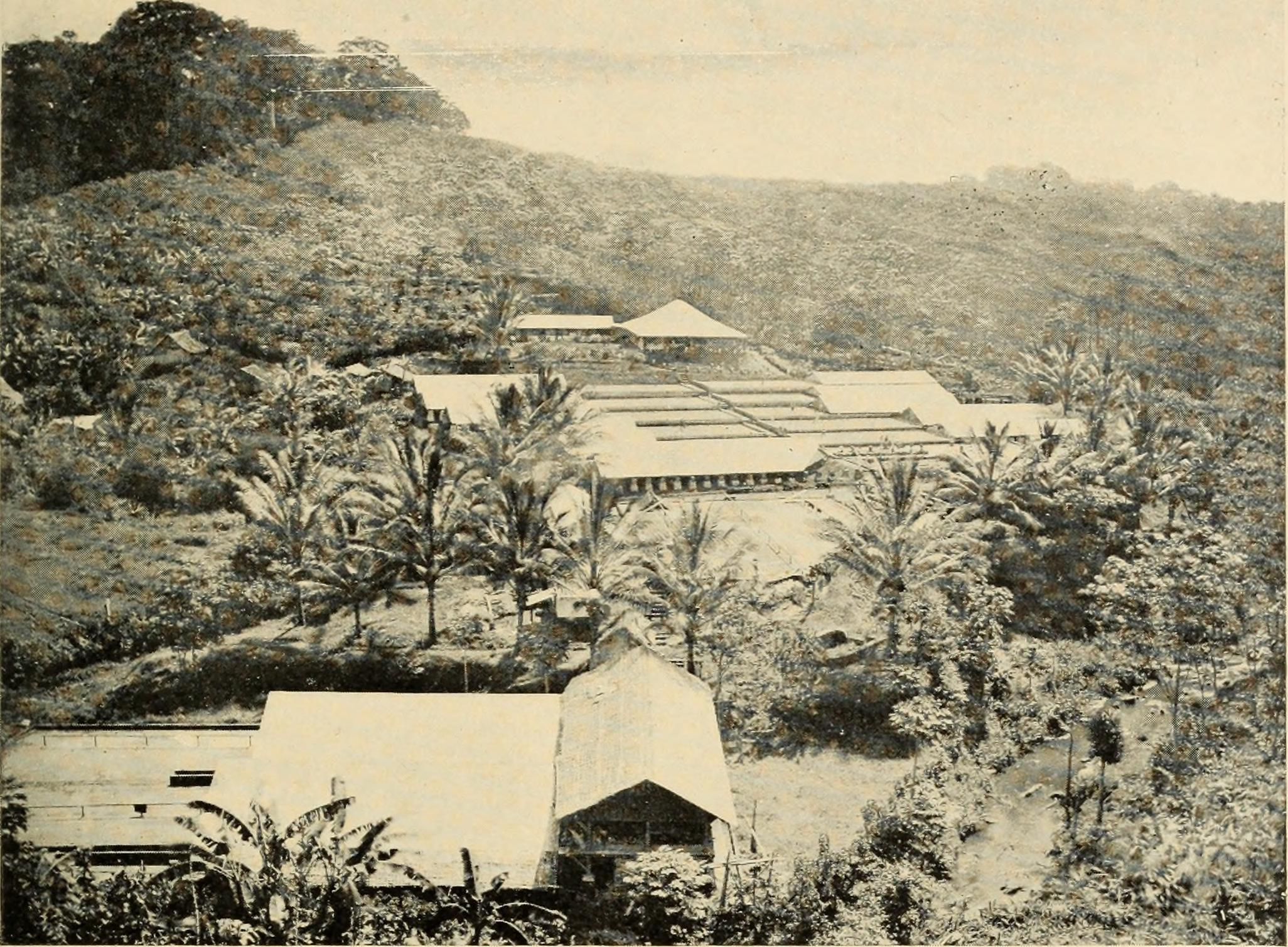 Java, Sumatra and the other islands of the Dutch East Indies