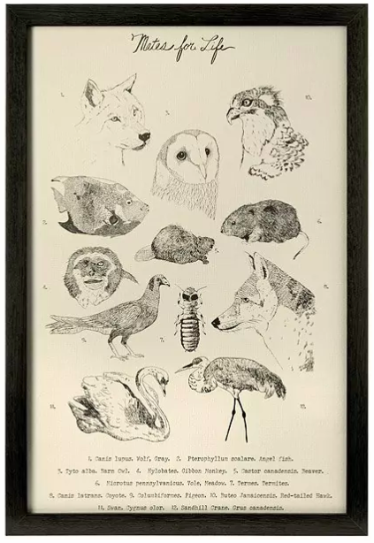 Mates For Life Print