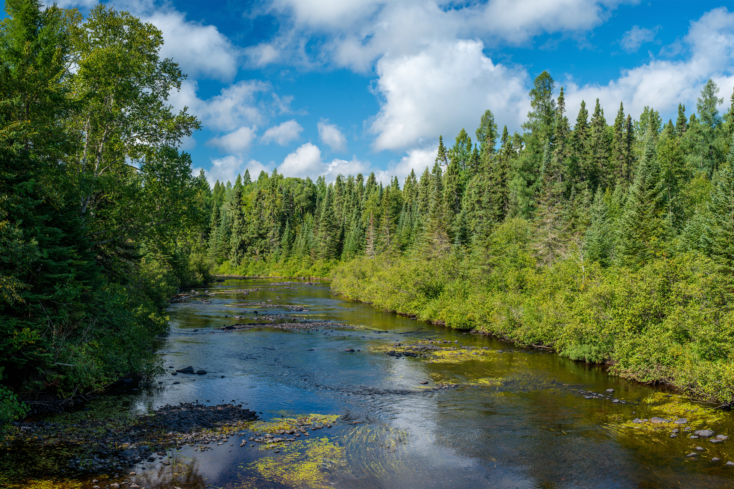 Temperance River