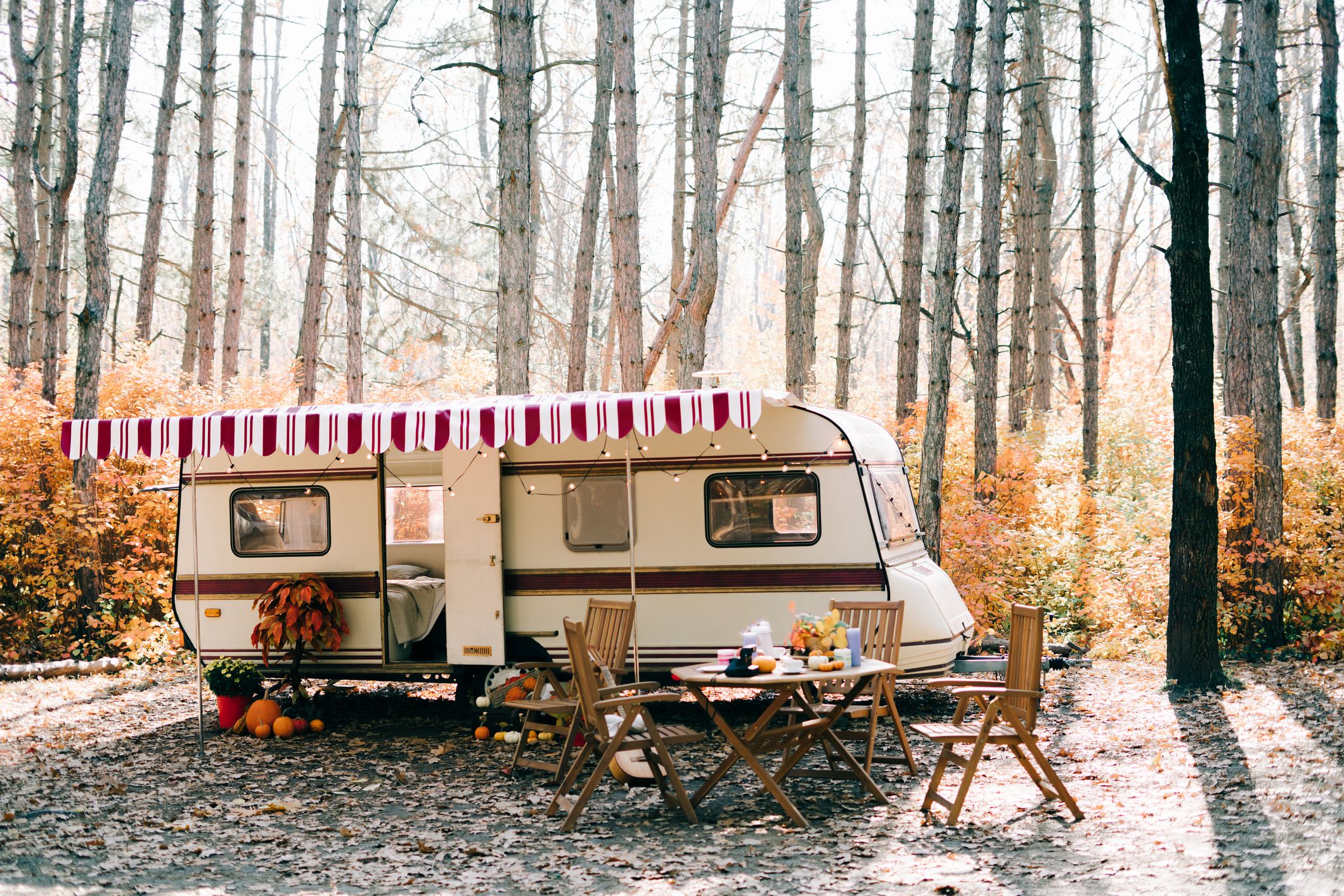 trailer-house on wheels stopped in a pine forest in the autumn