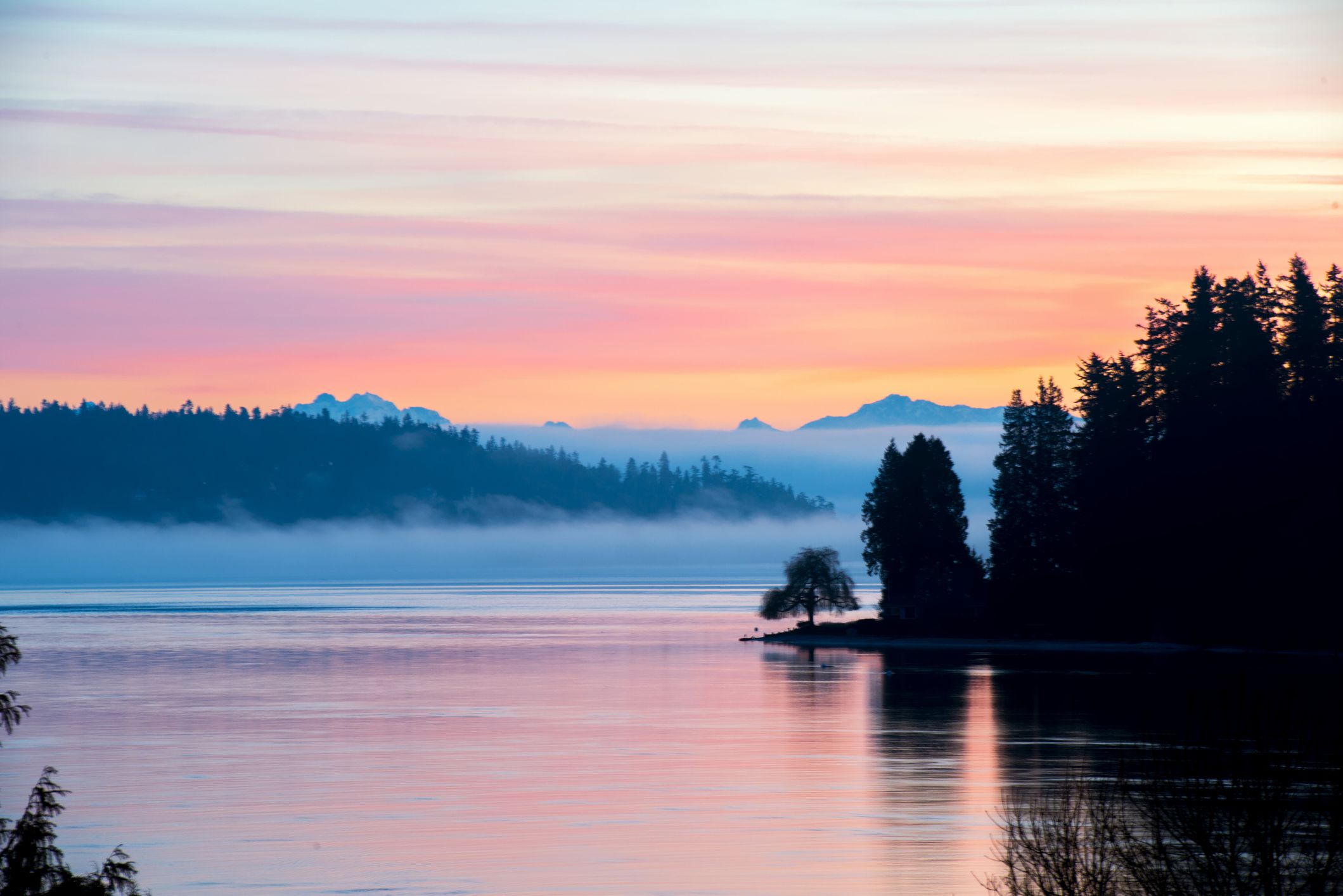 Pastel sunrise with fog.