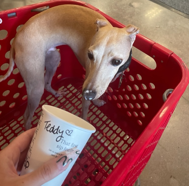 Starbucks Puppuccino