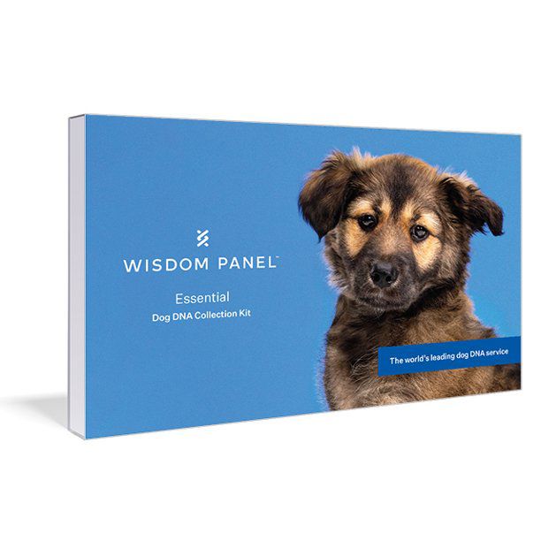 Wisdom Panel Essential Dog DNA Test