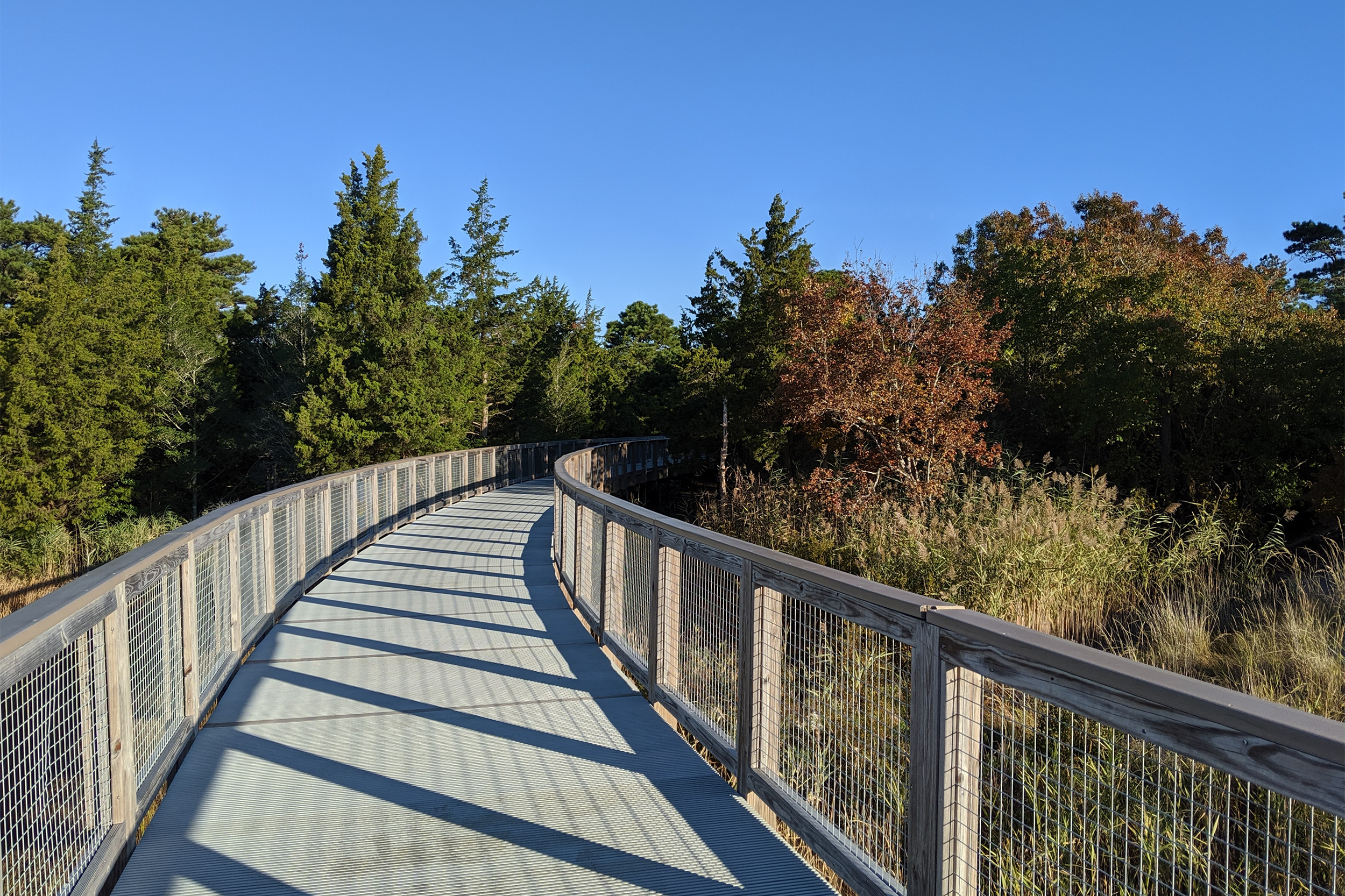 Cape Henlopen State Park