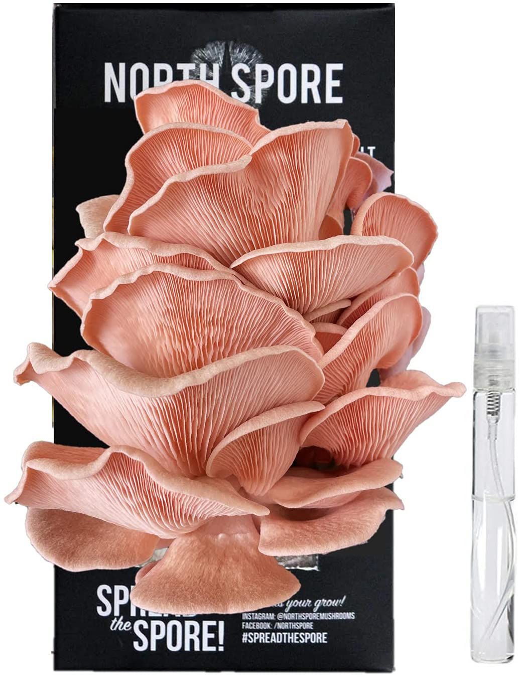 North Spore Pink Oyster Mushroom Grow Kit