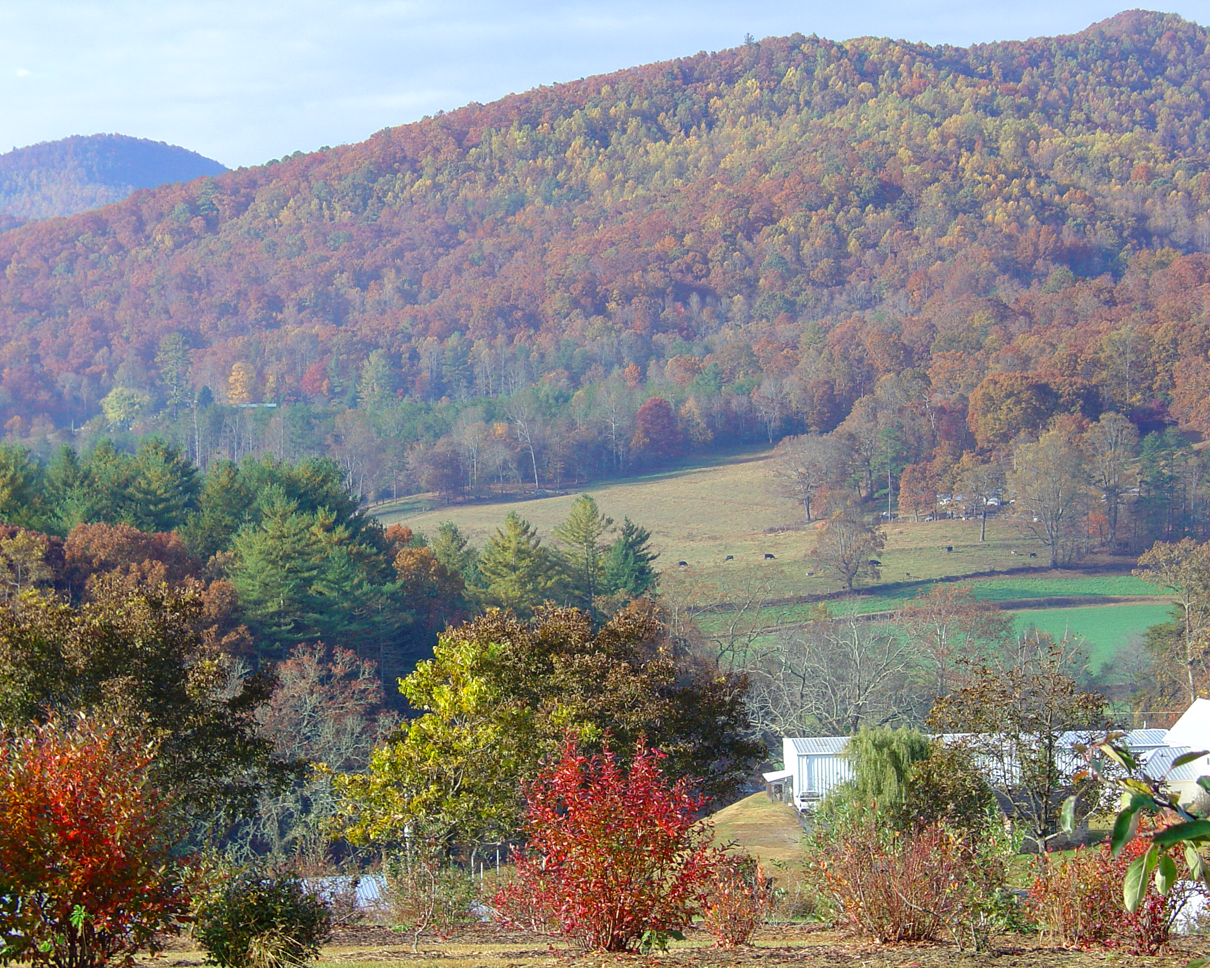 Fall on the mountain