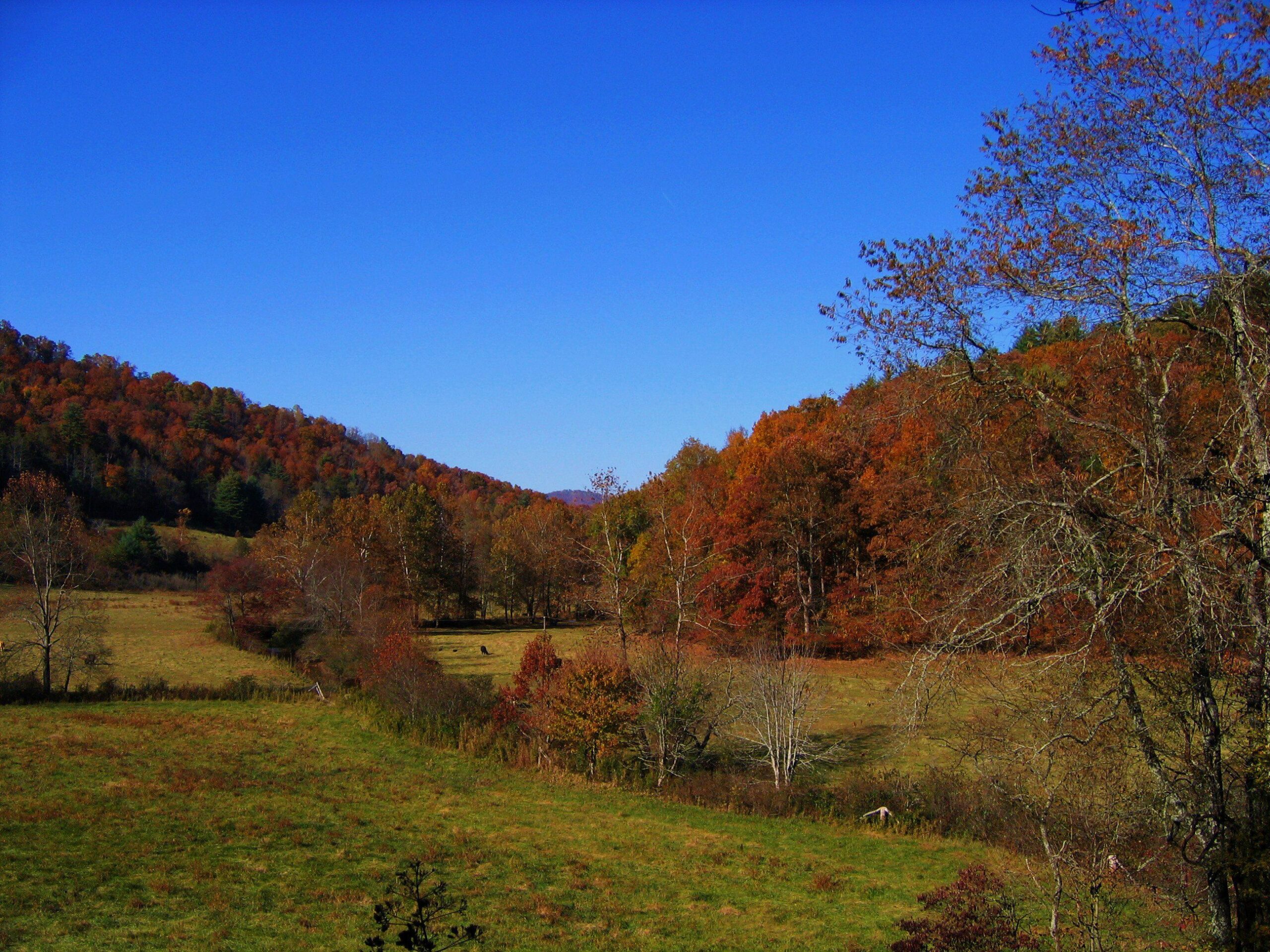 Fields and hills in late autumn with bright blue sky.