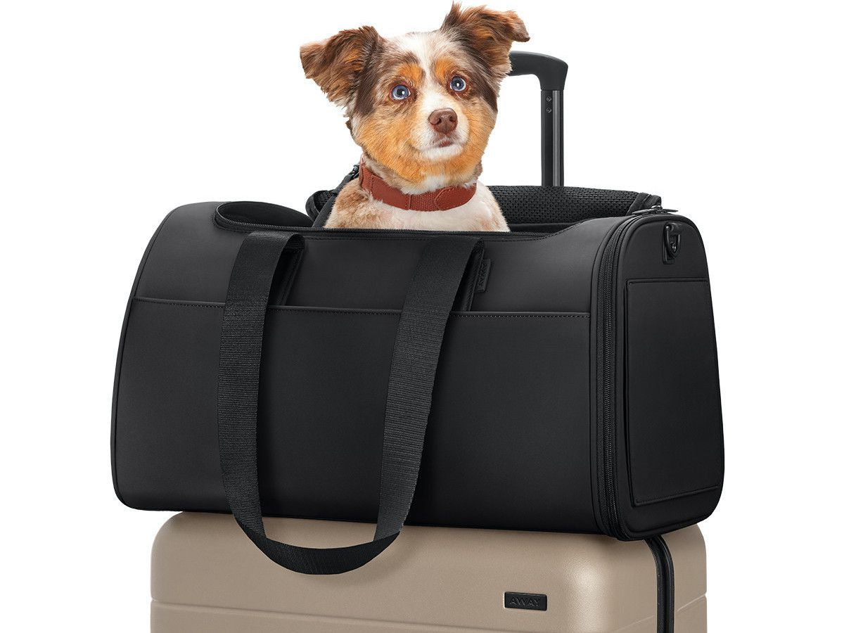 Away Pet Carrier