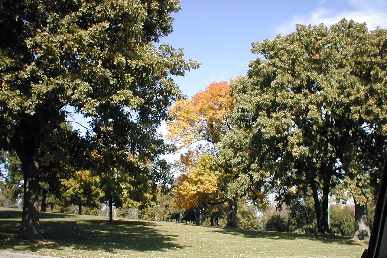 Fall In Moberly Park Trenton Missouri