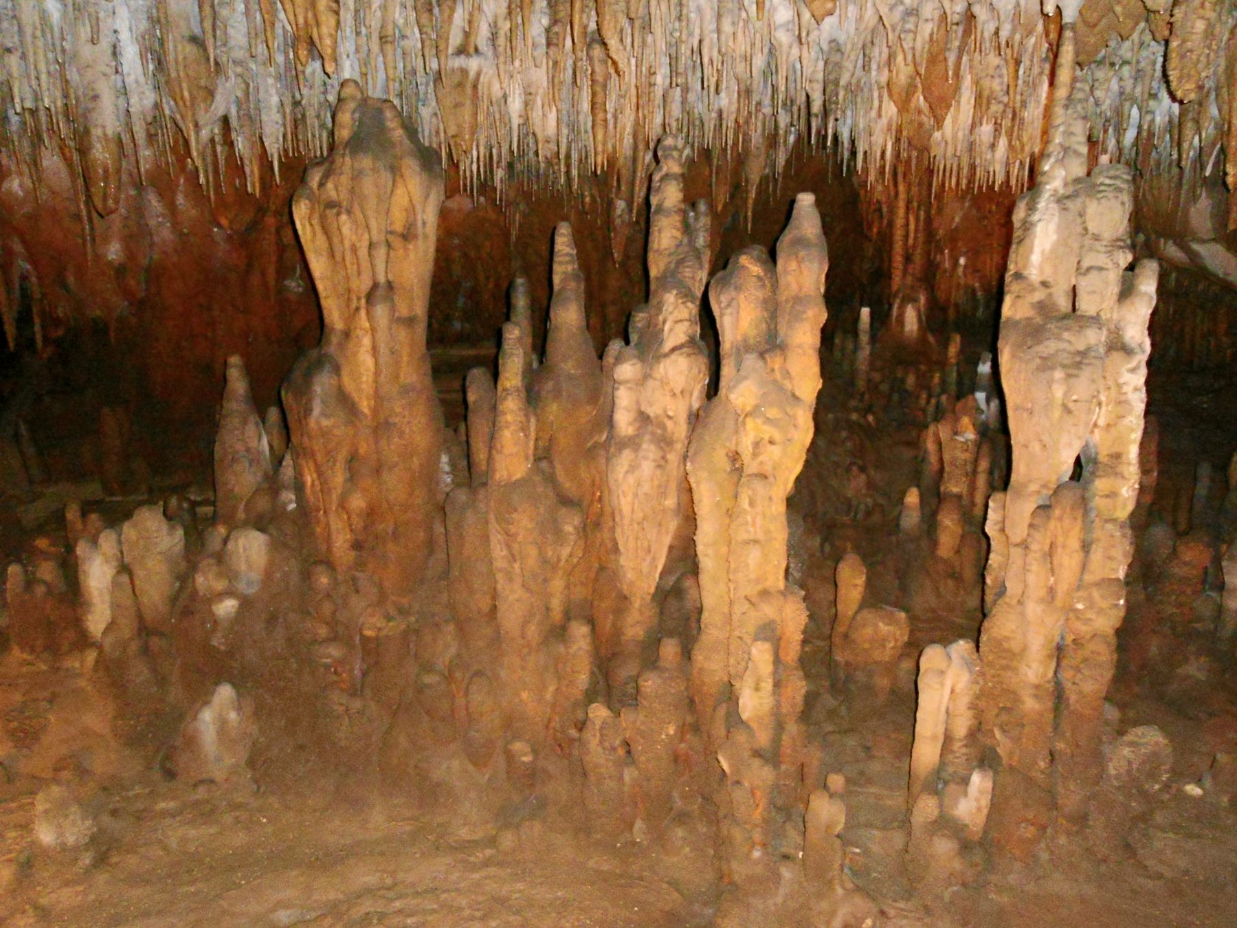 Limestone underground cave system in Florida Caverns State Park.