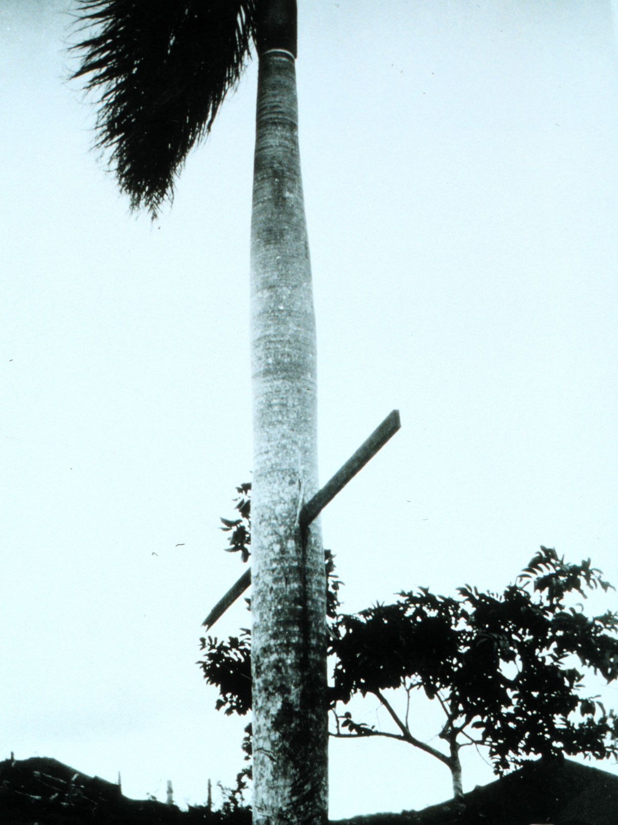 The Okeechobee Hurricane