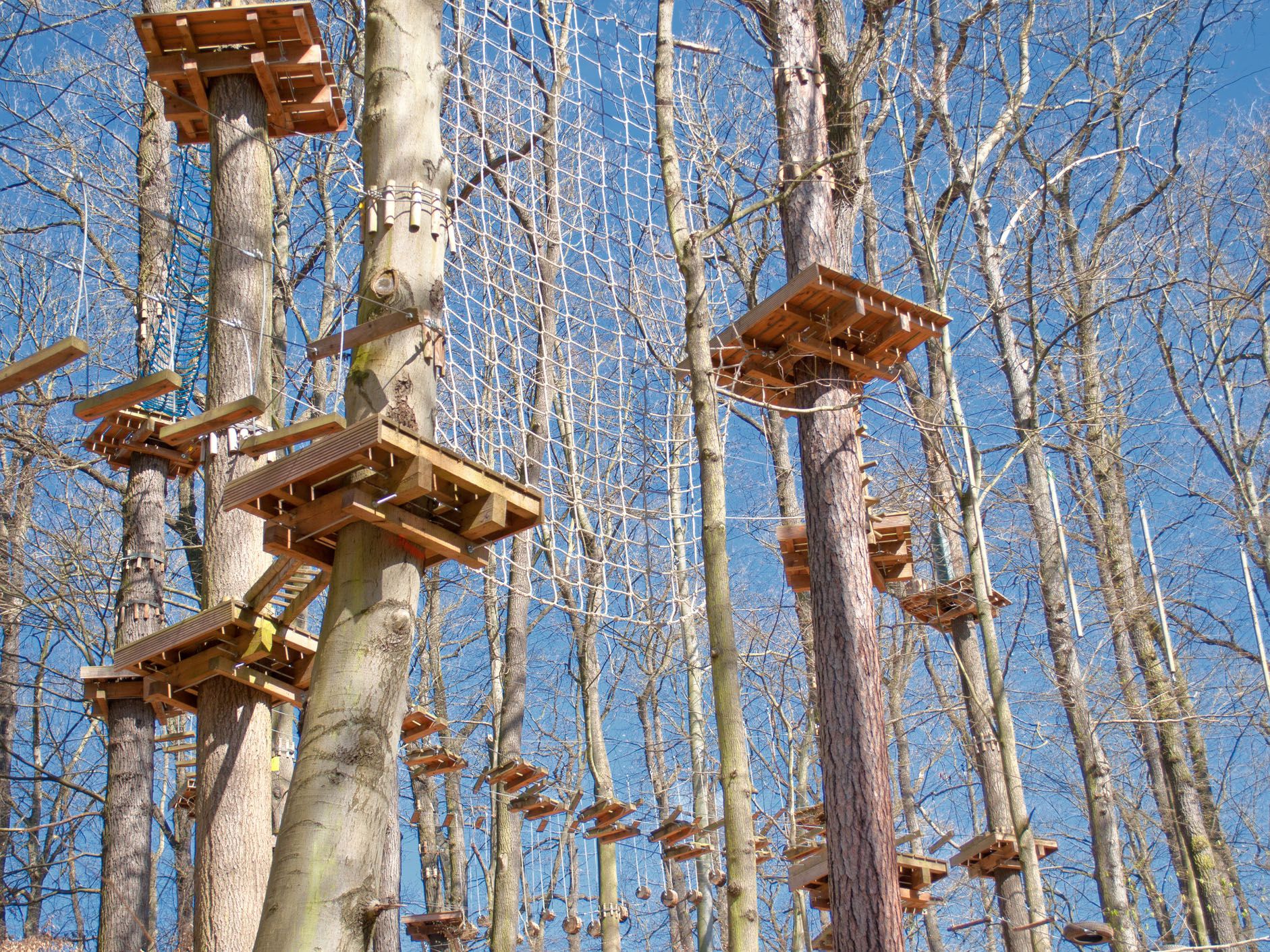 ropes course for the whole family. Try how brave you are :) Photo taken in Thuringia, Germany