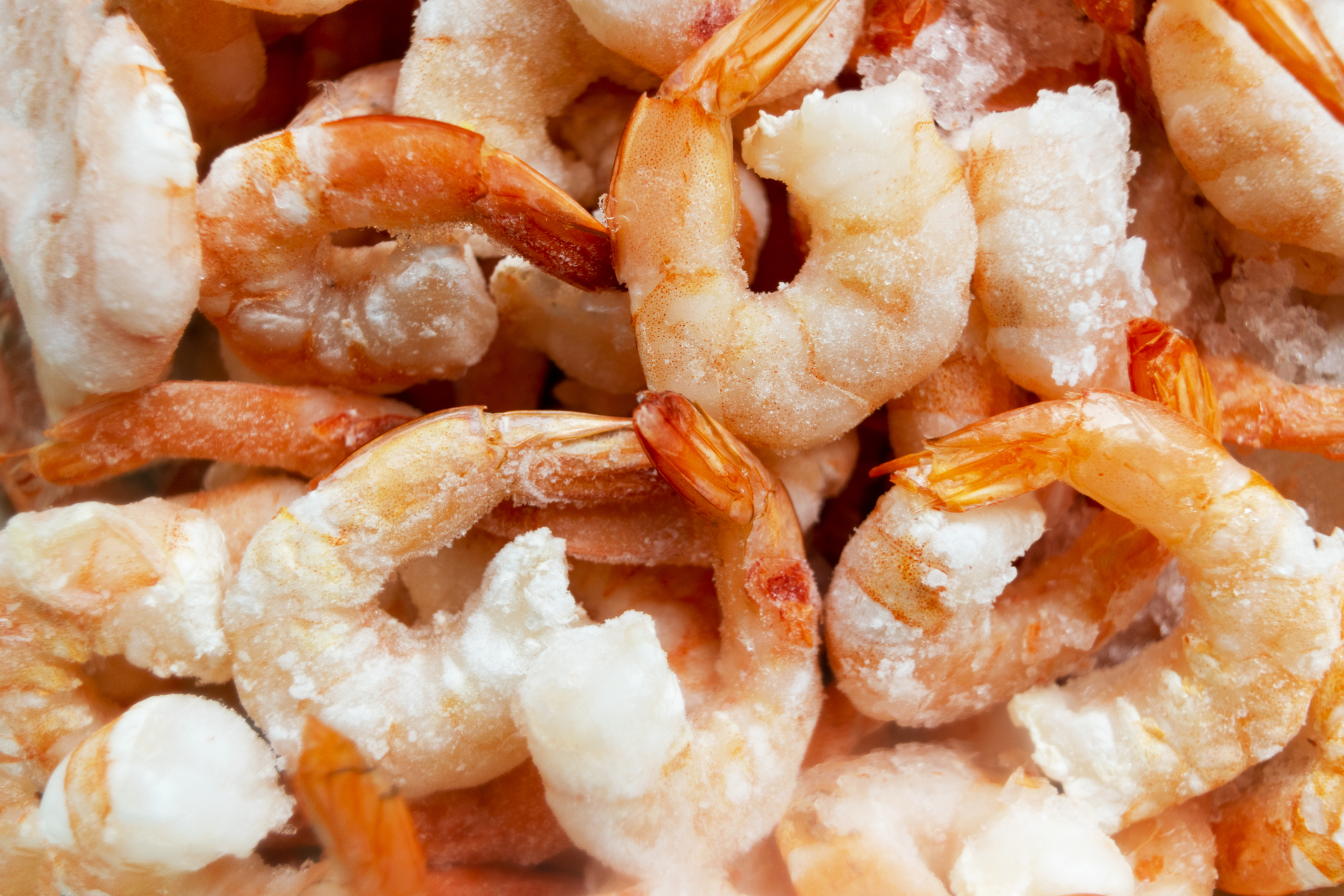 Closeup of a pile of frozen peeled and cooked shrimps with tails on