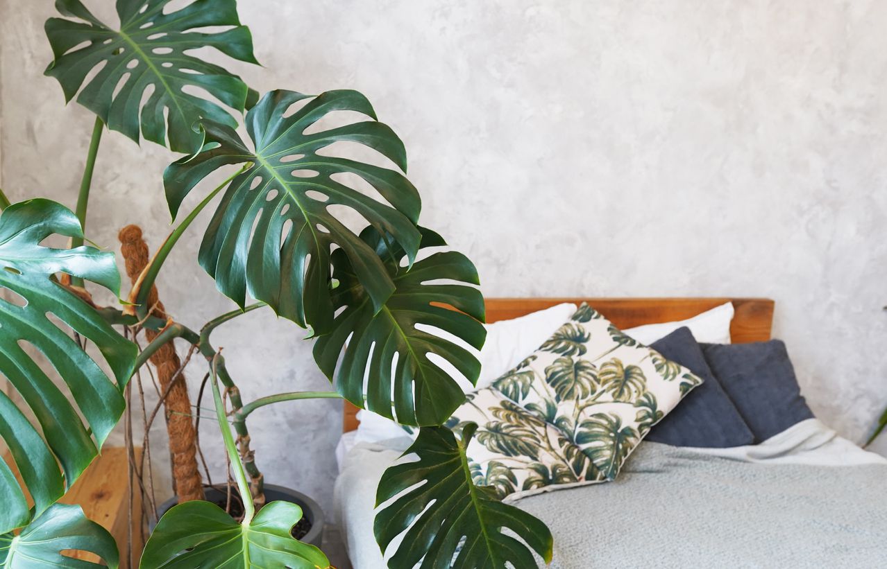 vintage urban bedroom