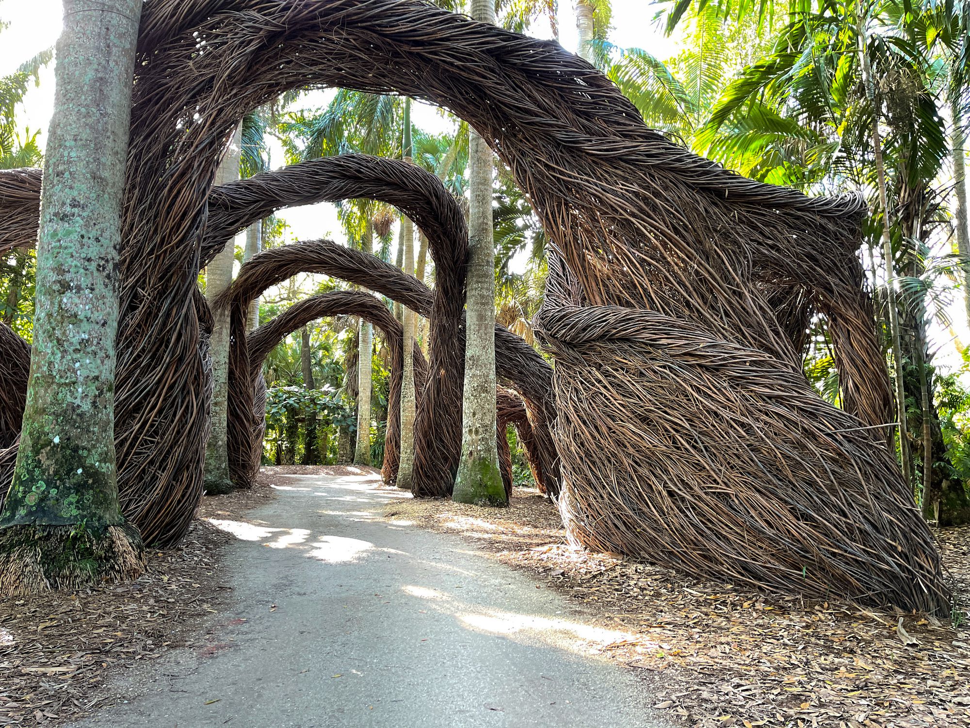 Artistic abstract arches made out of twigs in a tropical botanical garden in Vero Beach, Florida.