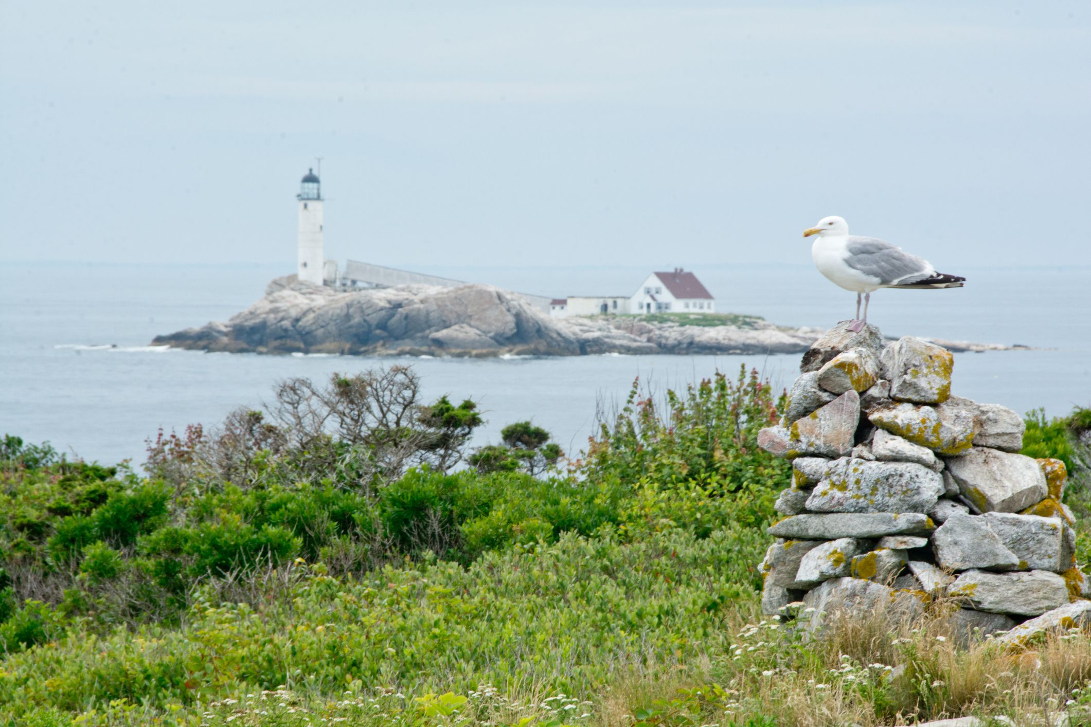 White Island is the southernmost island in the Isles of Shoals off of Rye, New Hampshire.