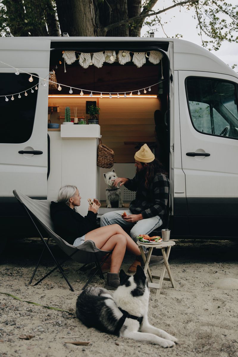 couple with dogs enjoying a meal outside van