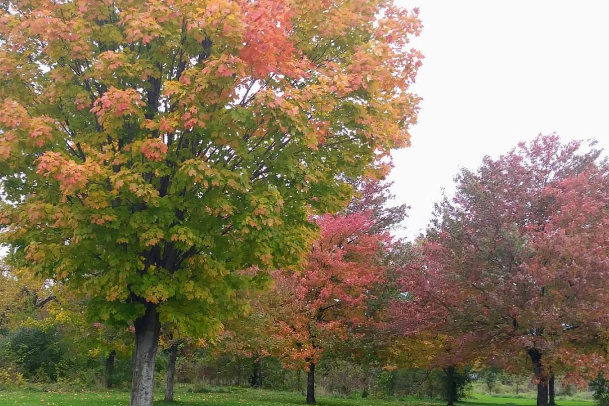 sampson state park