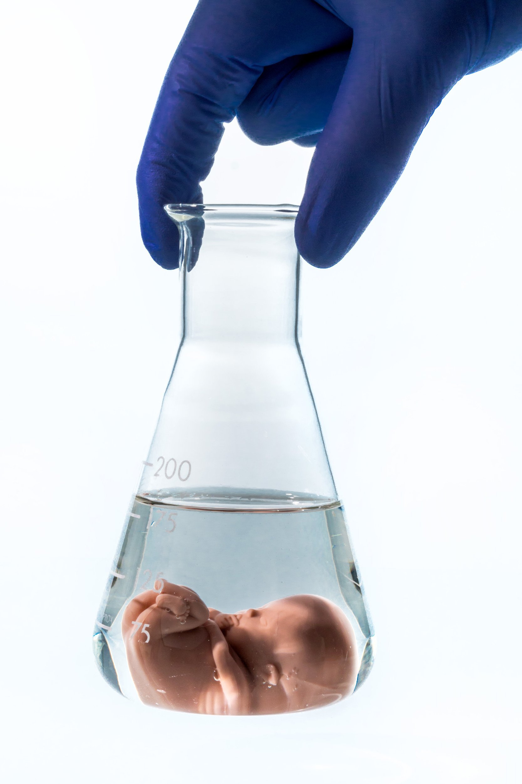 gloved hand holding glass tube with baby in fluid