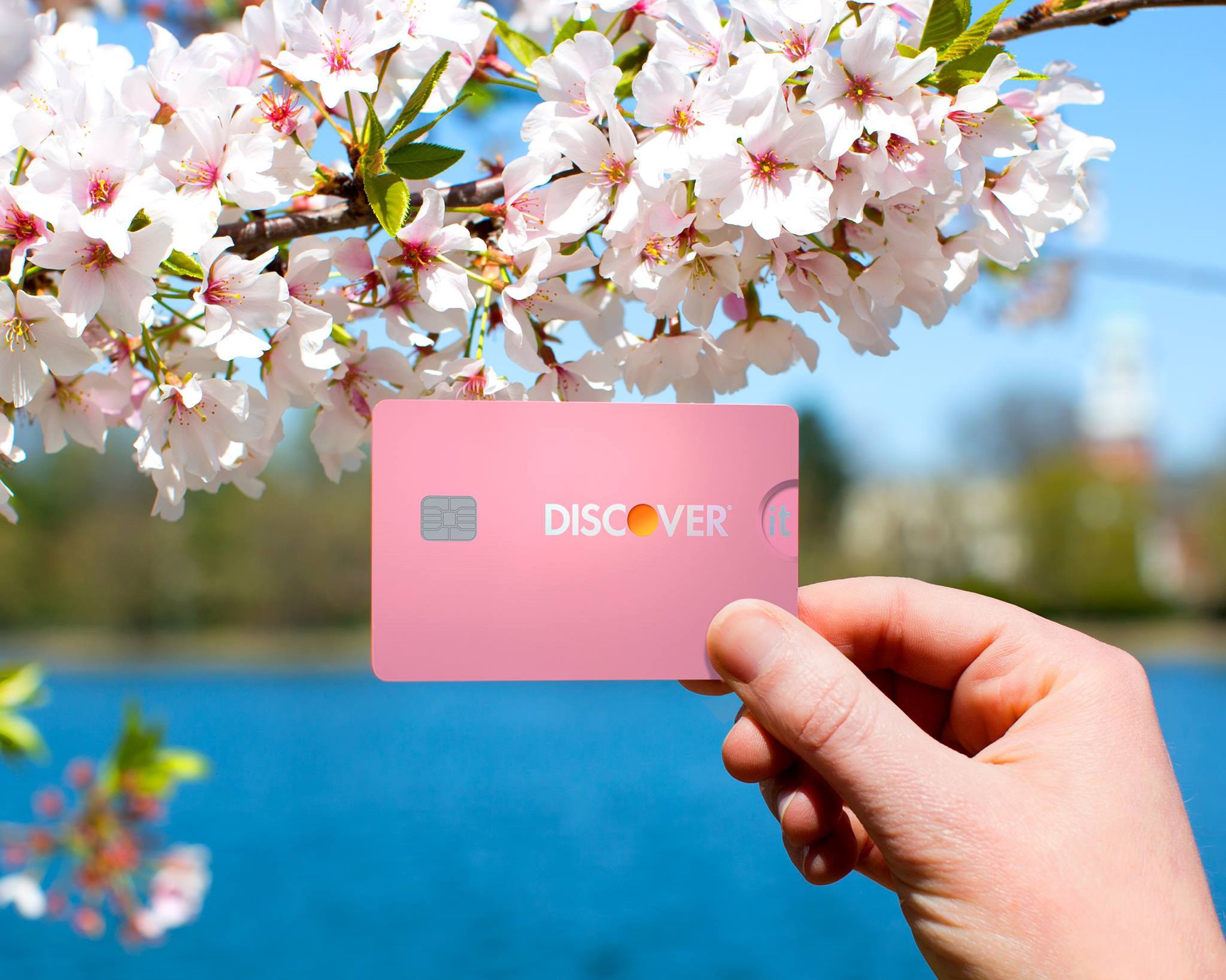 hand holding pink discover it card with pink flowers and lake in background