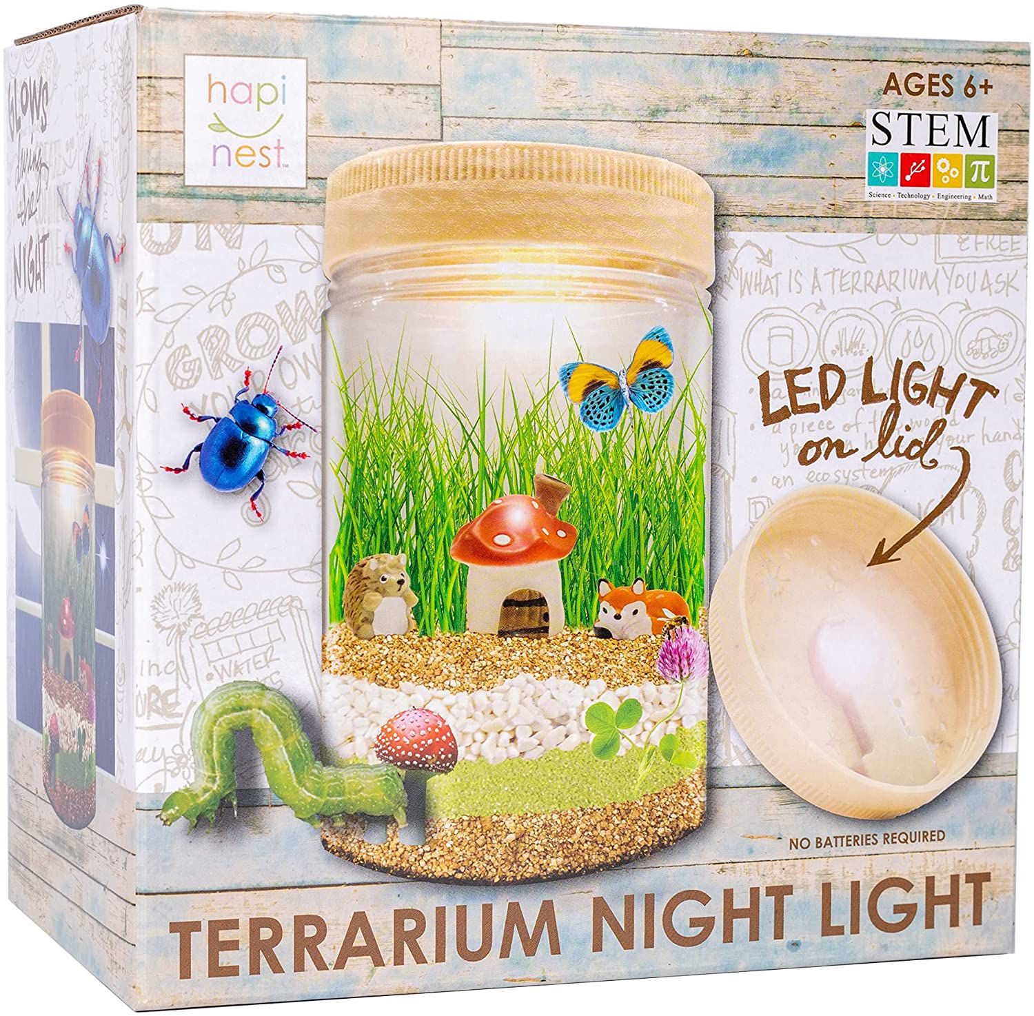 Hapinest Light Up Terrarium Kit