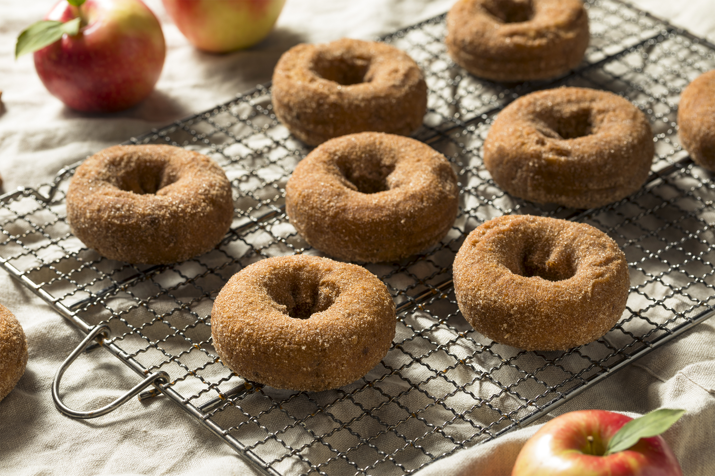 Baked Apple Cider Doughnuts