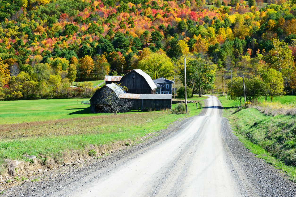 Leaves starting to turn in early autumn on a sunny day in Bradford County, Pennsylvania, USA