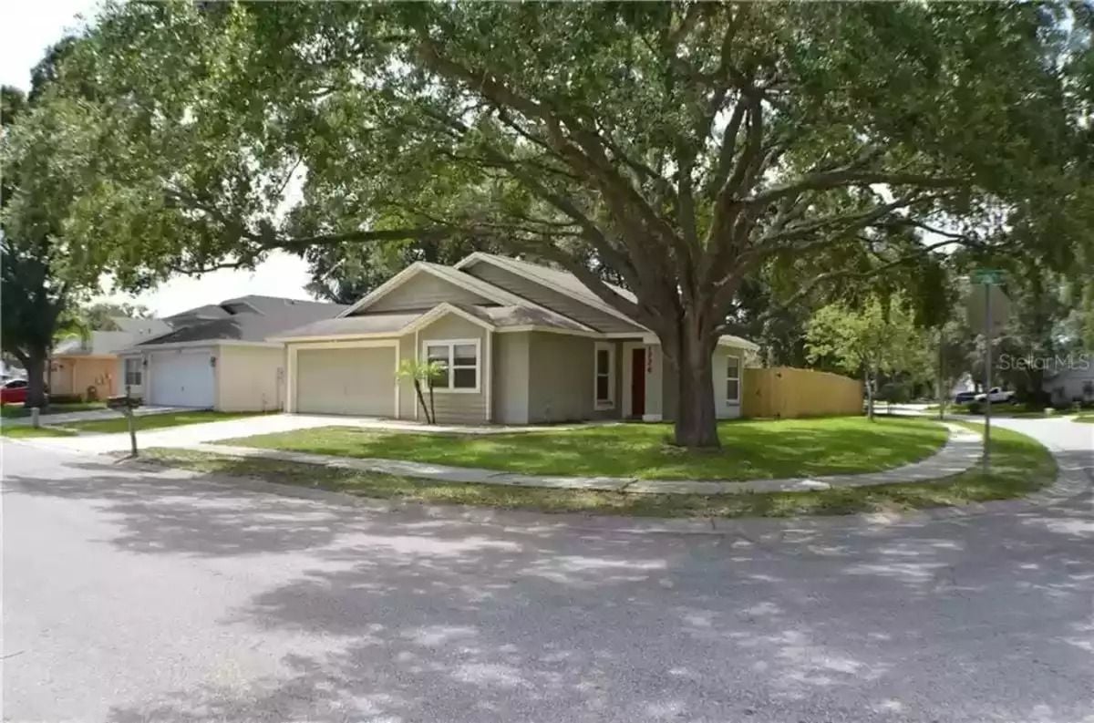 Edward Scissorhands House, 1774 Tinsmith Cir, Lutz, FL 33559