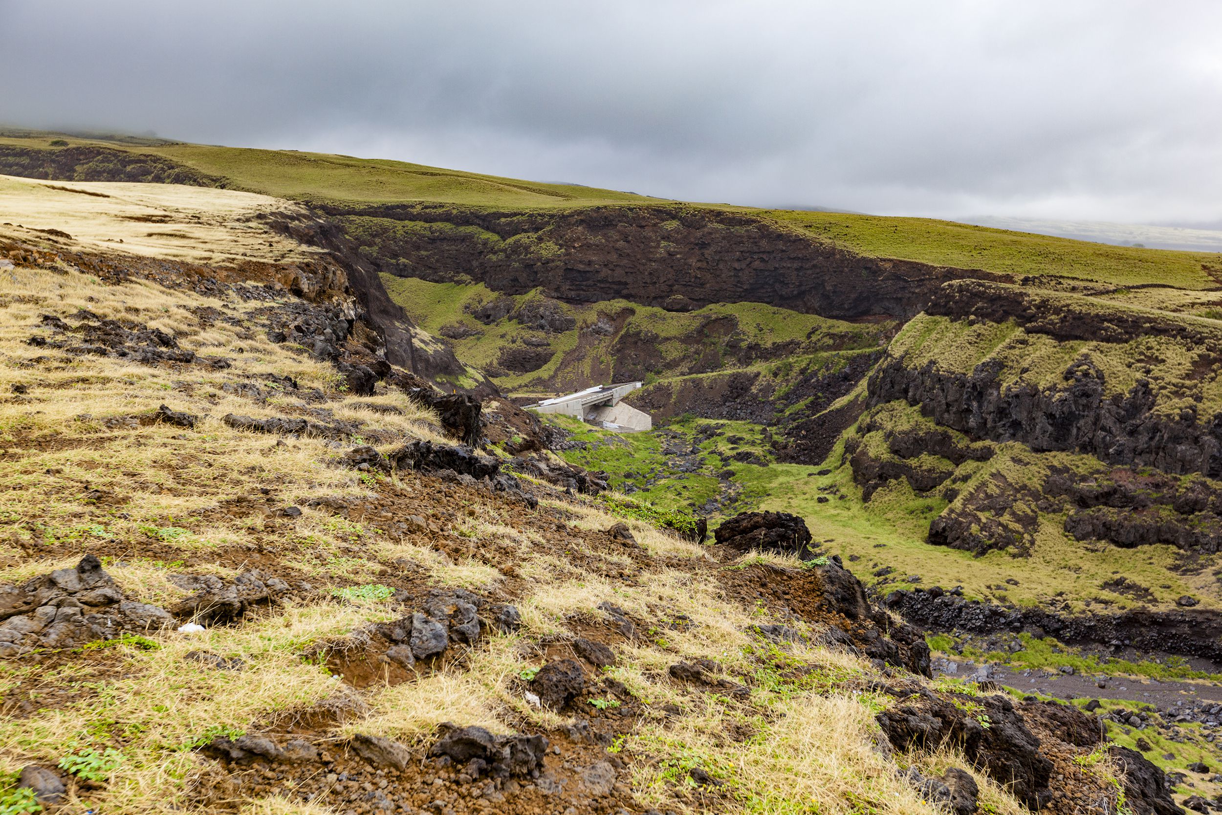 Wild landscape with overcast sky at Kula, HI