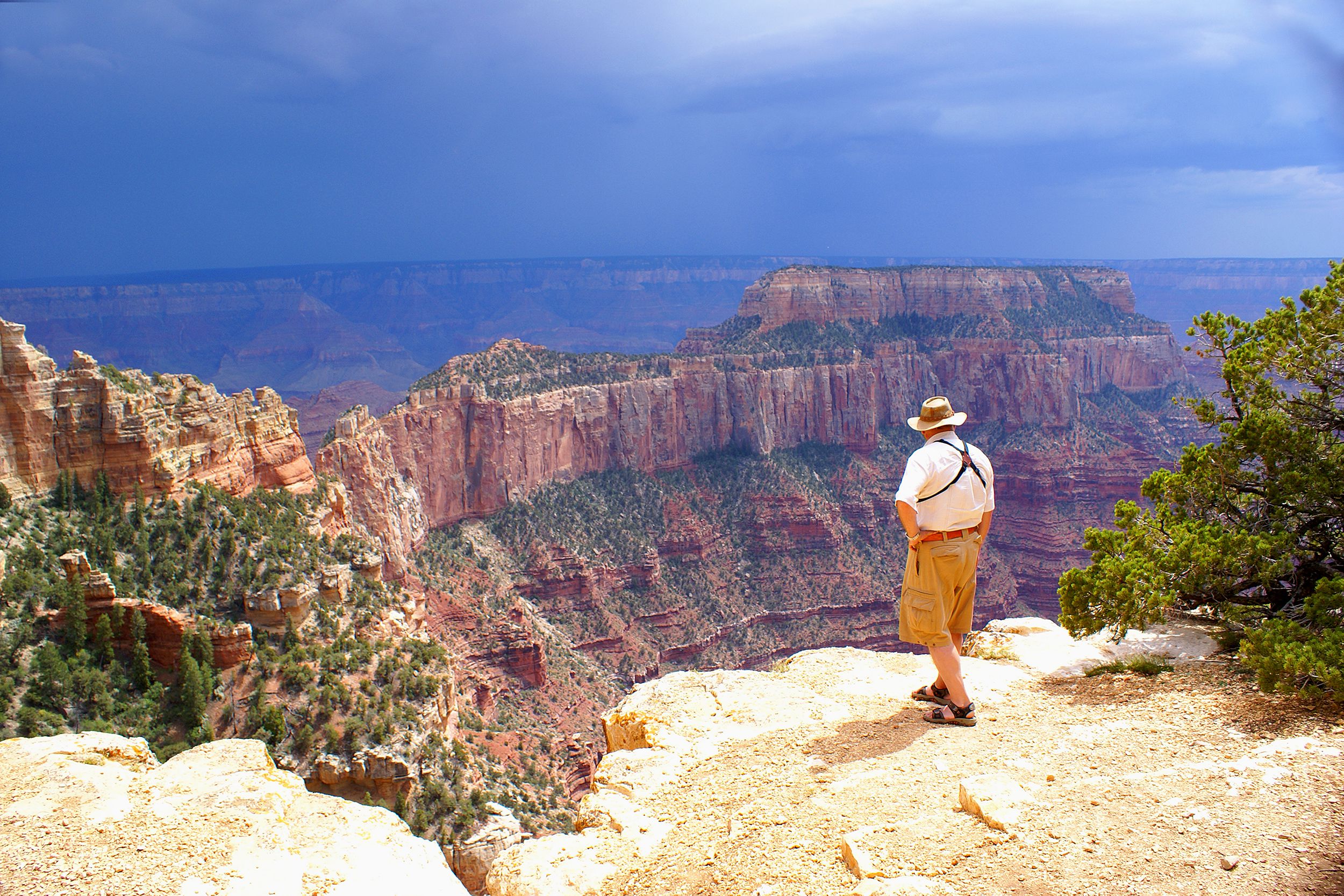 Male senior tourist standing on edge overlooking expansive North Rim, Grand Canyon fading into blue