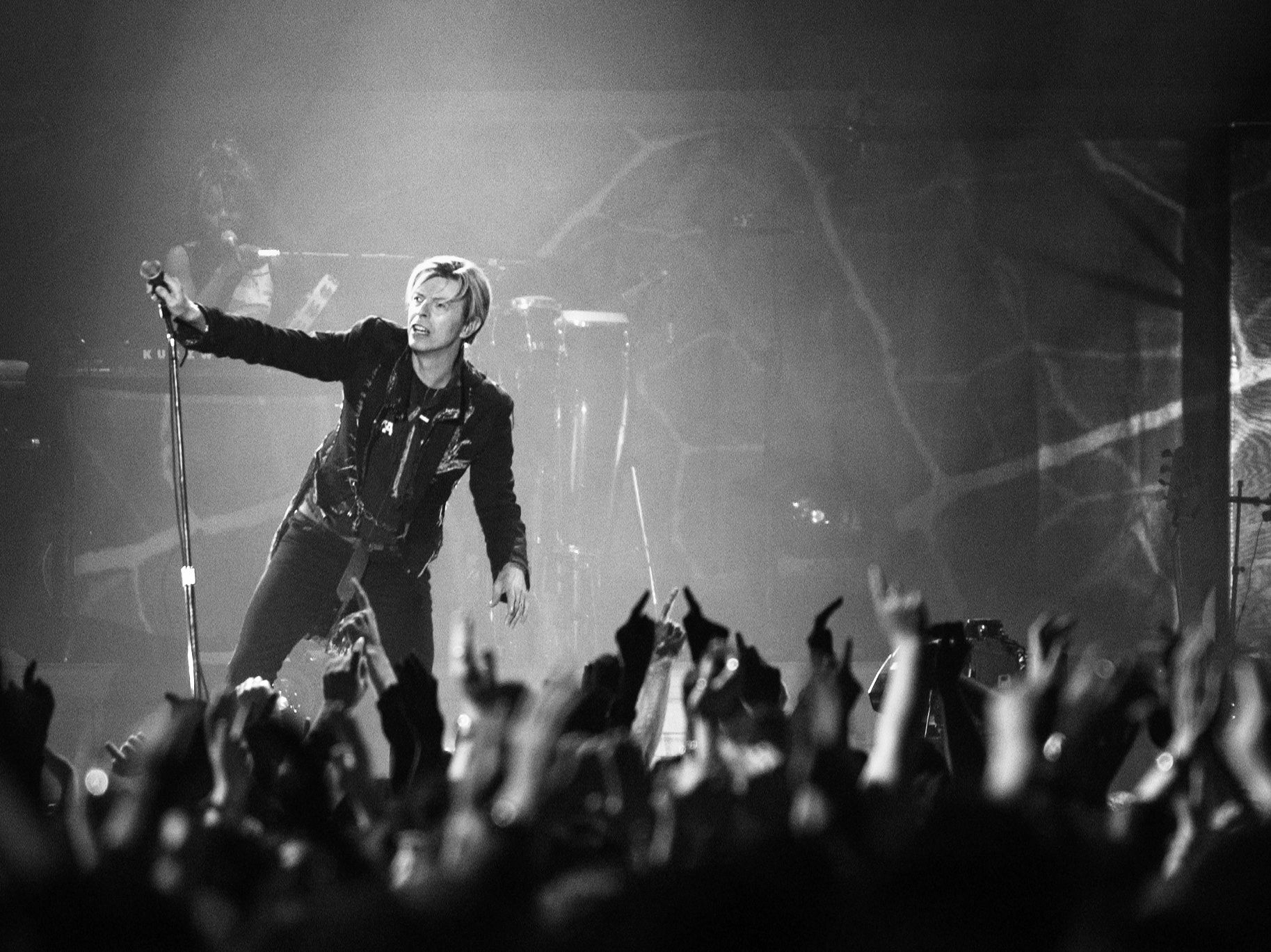 David Bowie