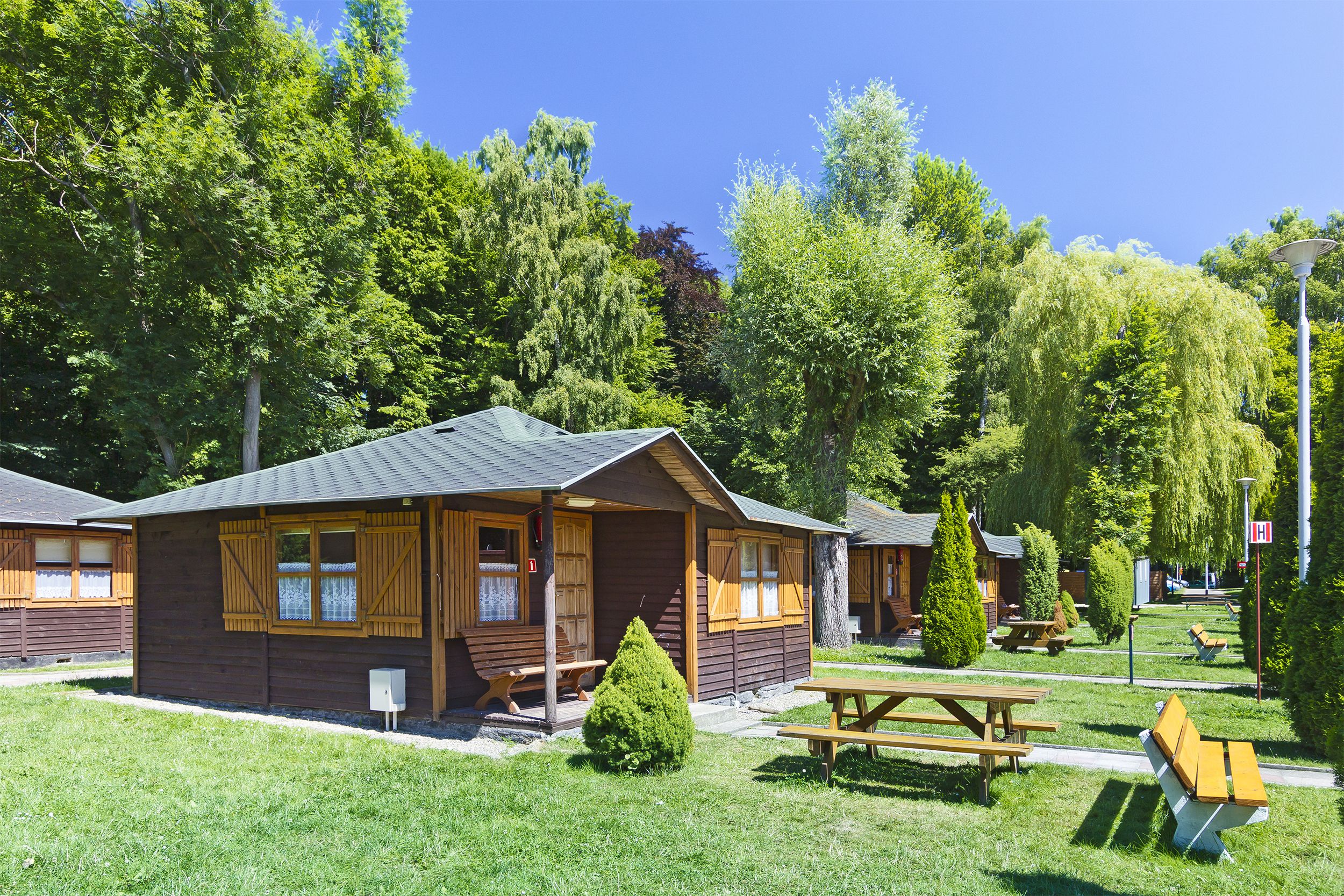 A row of cabins in a park, each with a seating area, on a sunny summer day, with several different kinds of trees and forest in the background