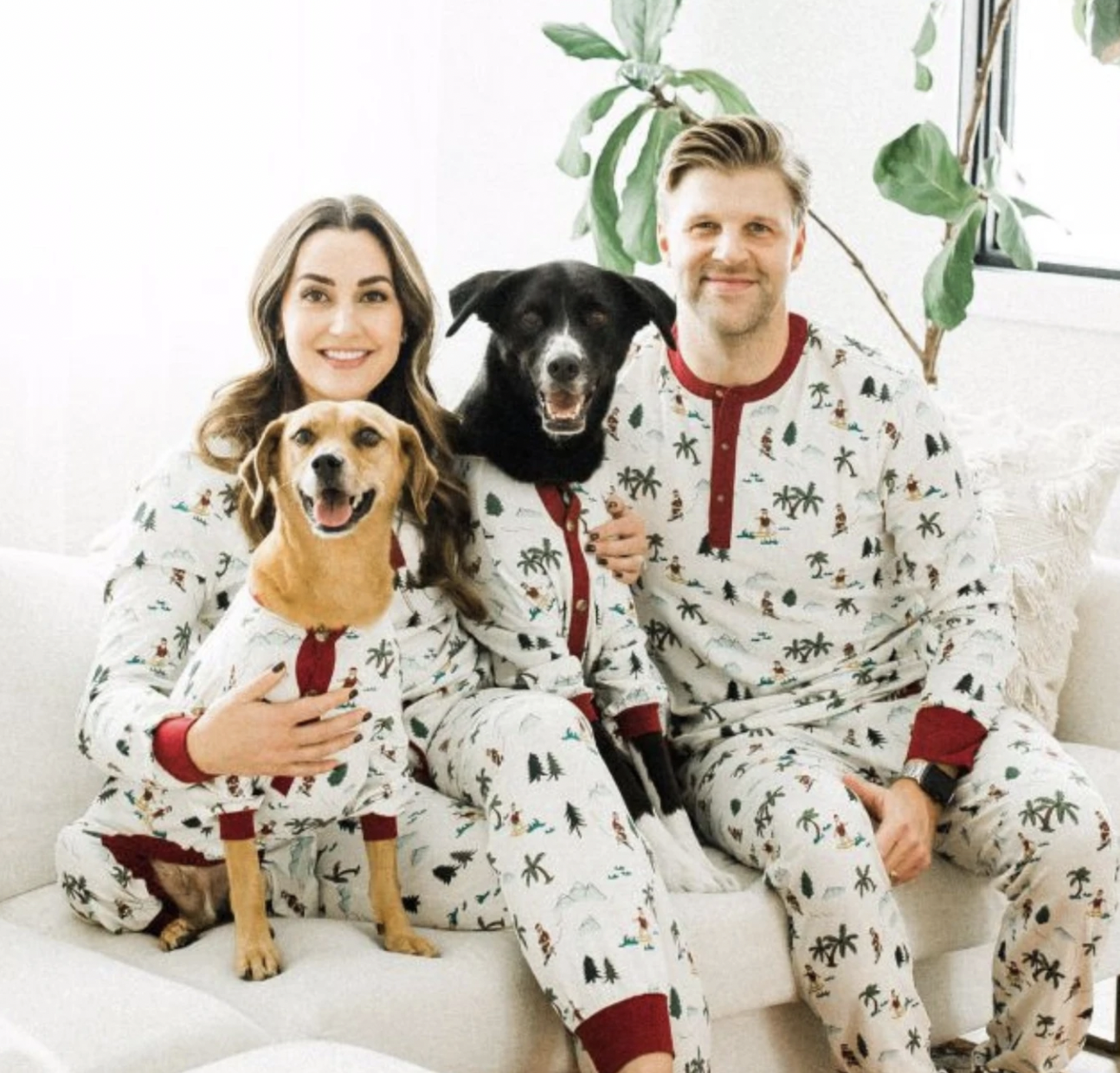 Dog Threads