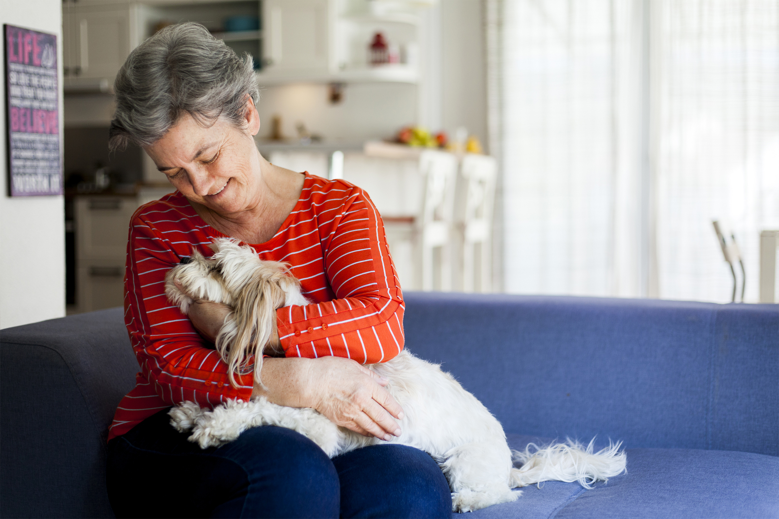 Smiling senior woman looking down at a white dog in her lap while sitting on a blue couch, dog is looking up at her, with blurred background of rest large windows in a living room and a kitchen island