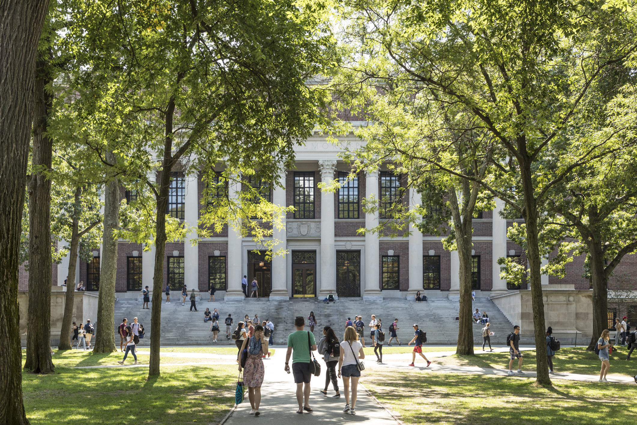 Students walking in Harvard Yard, Harvard University Campus, Cambridge, Massachusetts, walkway is surrounded by large trees, building in the background, on a sunny spring day