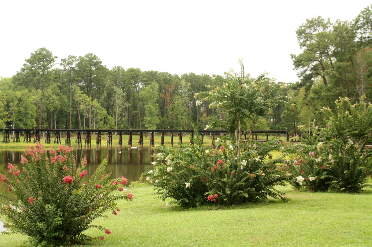 Park with flowering bushes Thomasville, GA