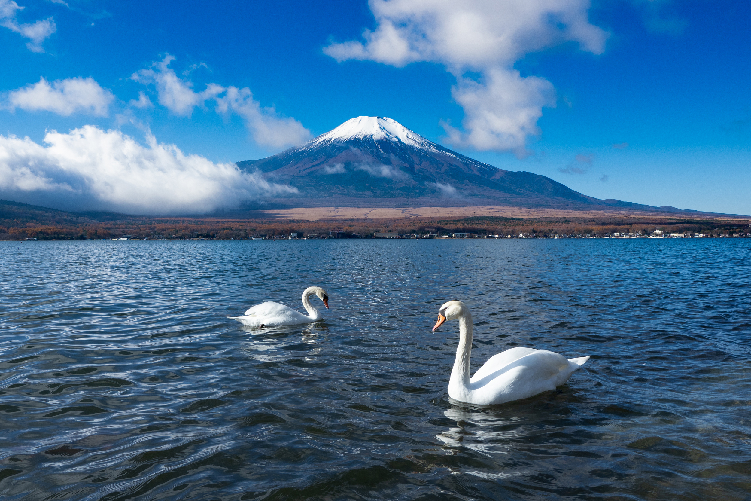 Lake Yamanaka