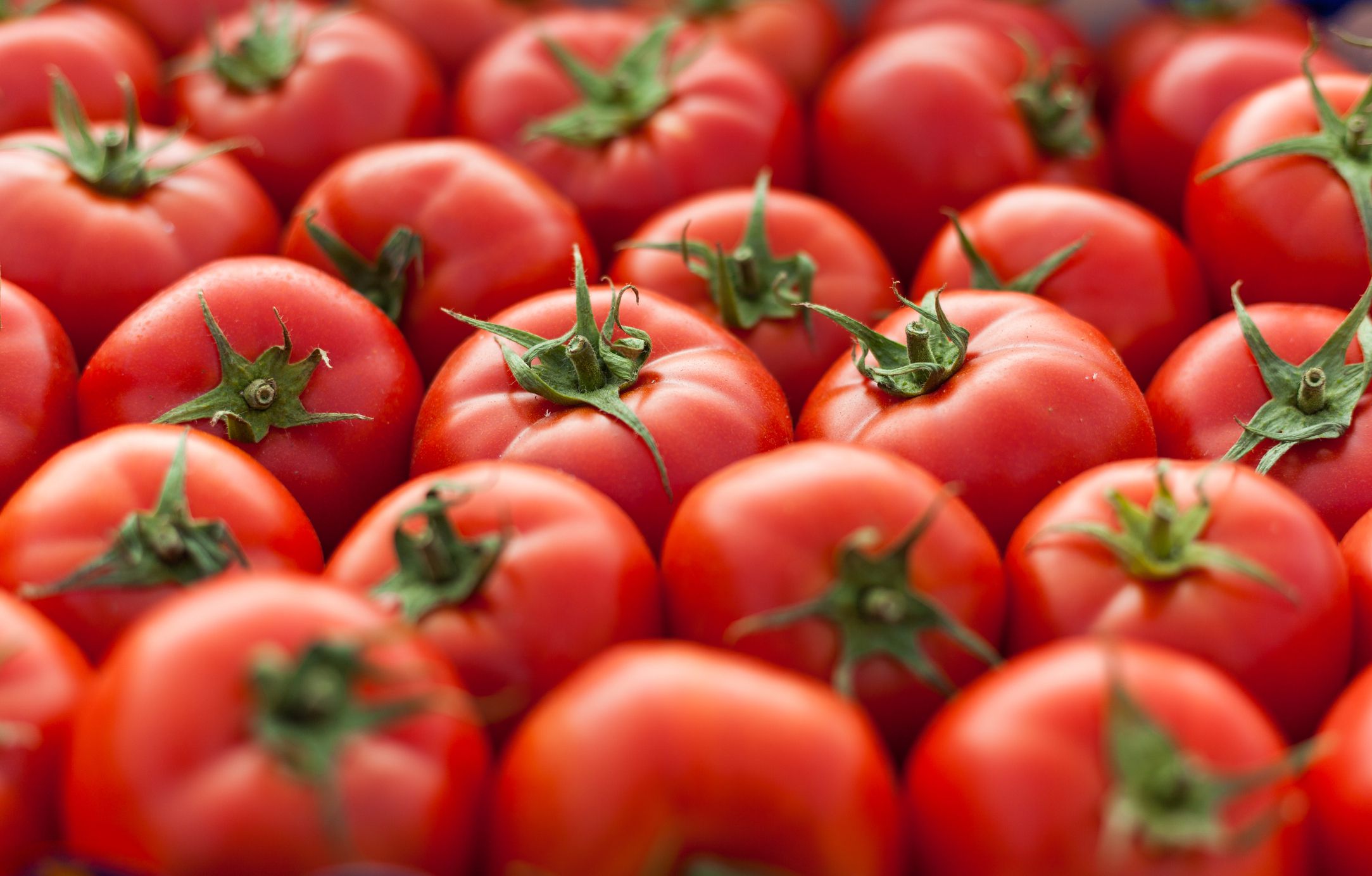 full image with tomatos fresh and healty food