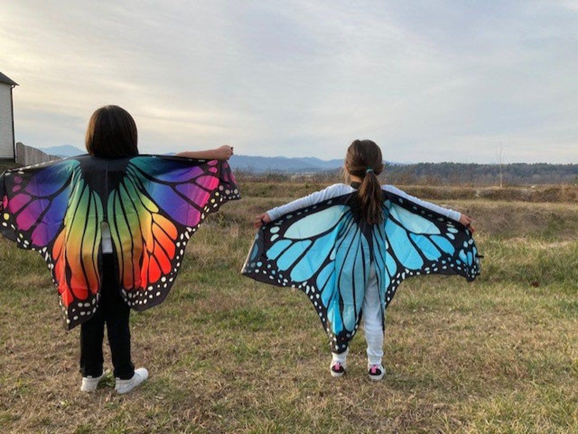Butterfly Wings