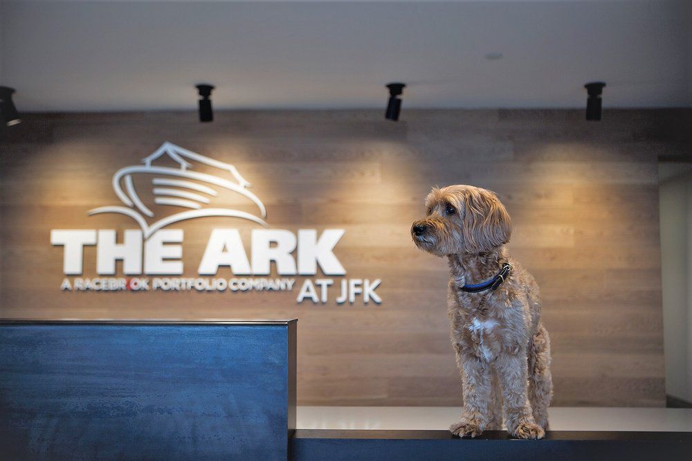 The Ark at JFK