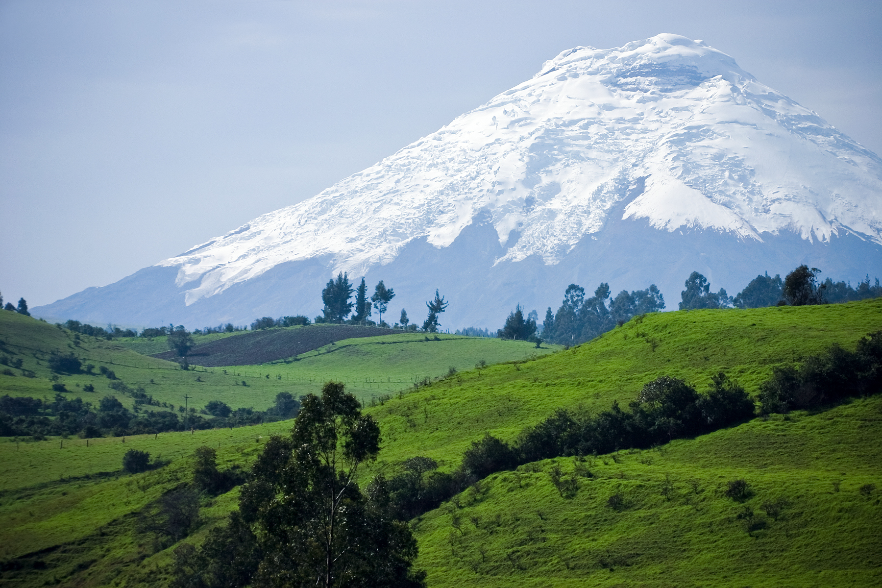 Cotopaxi Park in Ecuador
