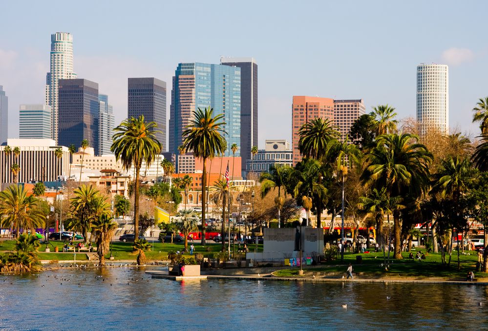 A sunny view of downtown Los Angeles with modern skyscrapers in the background, tall palm trees, and a lake with people relaxing in a park in the foreground.