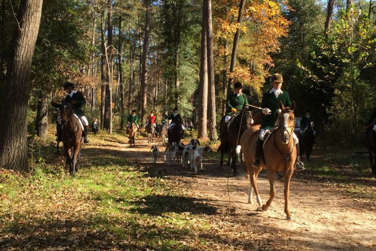 Group of people horseback riding in Aiken, South Carolina on trail