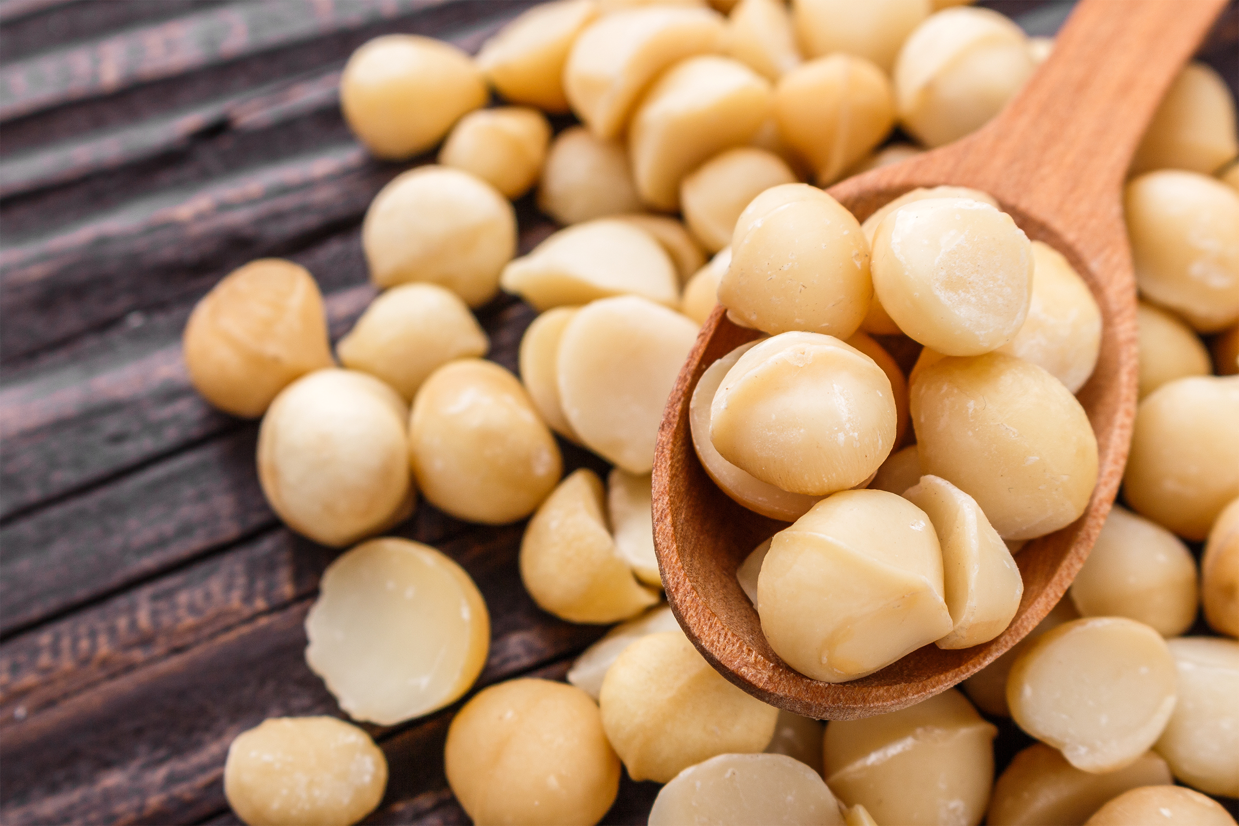 macadamia nuts