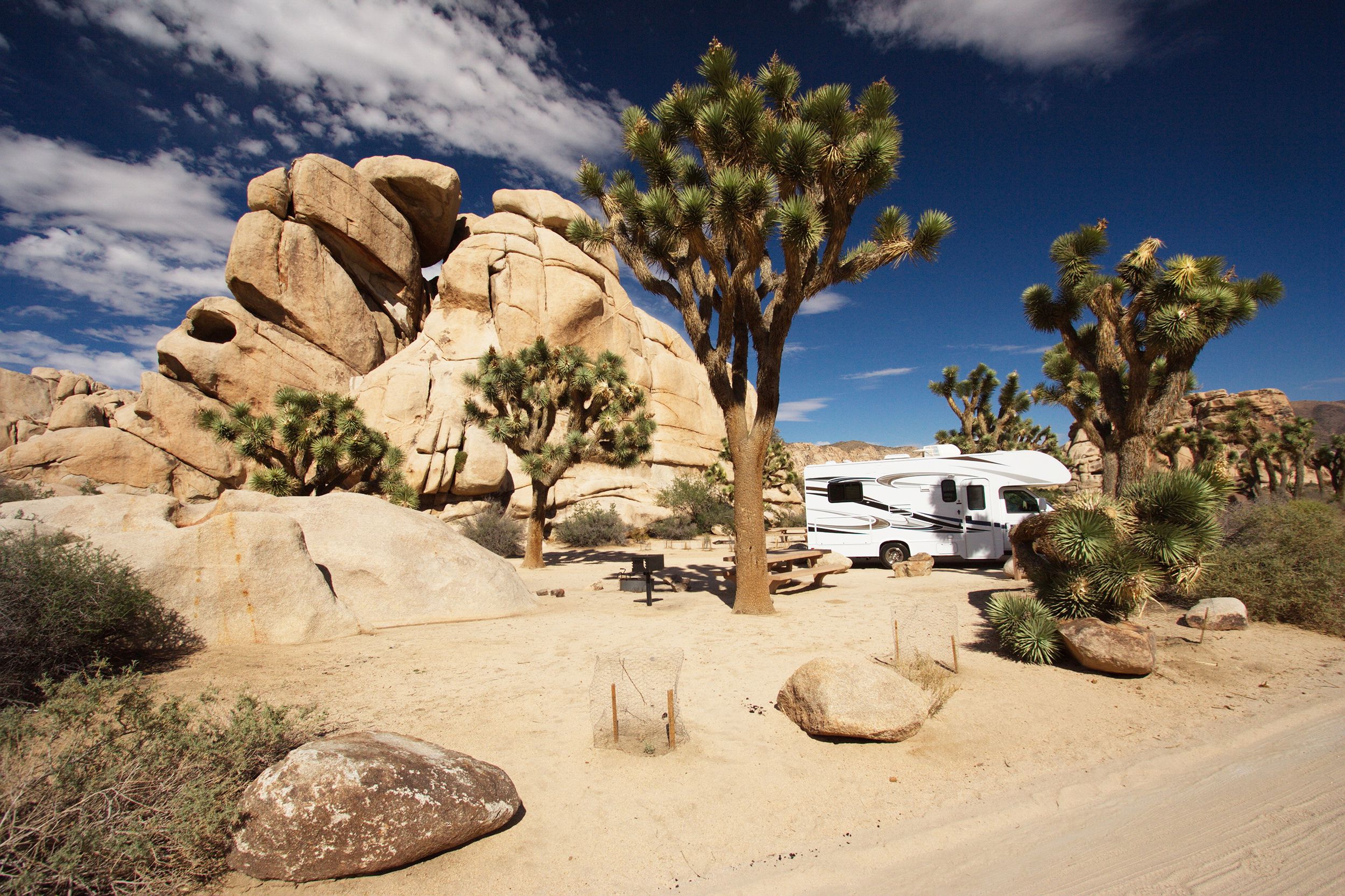 RV parked on lot in Joshua Tree National Park, California along road