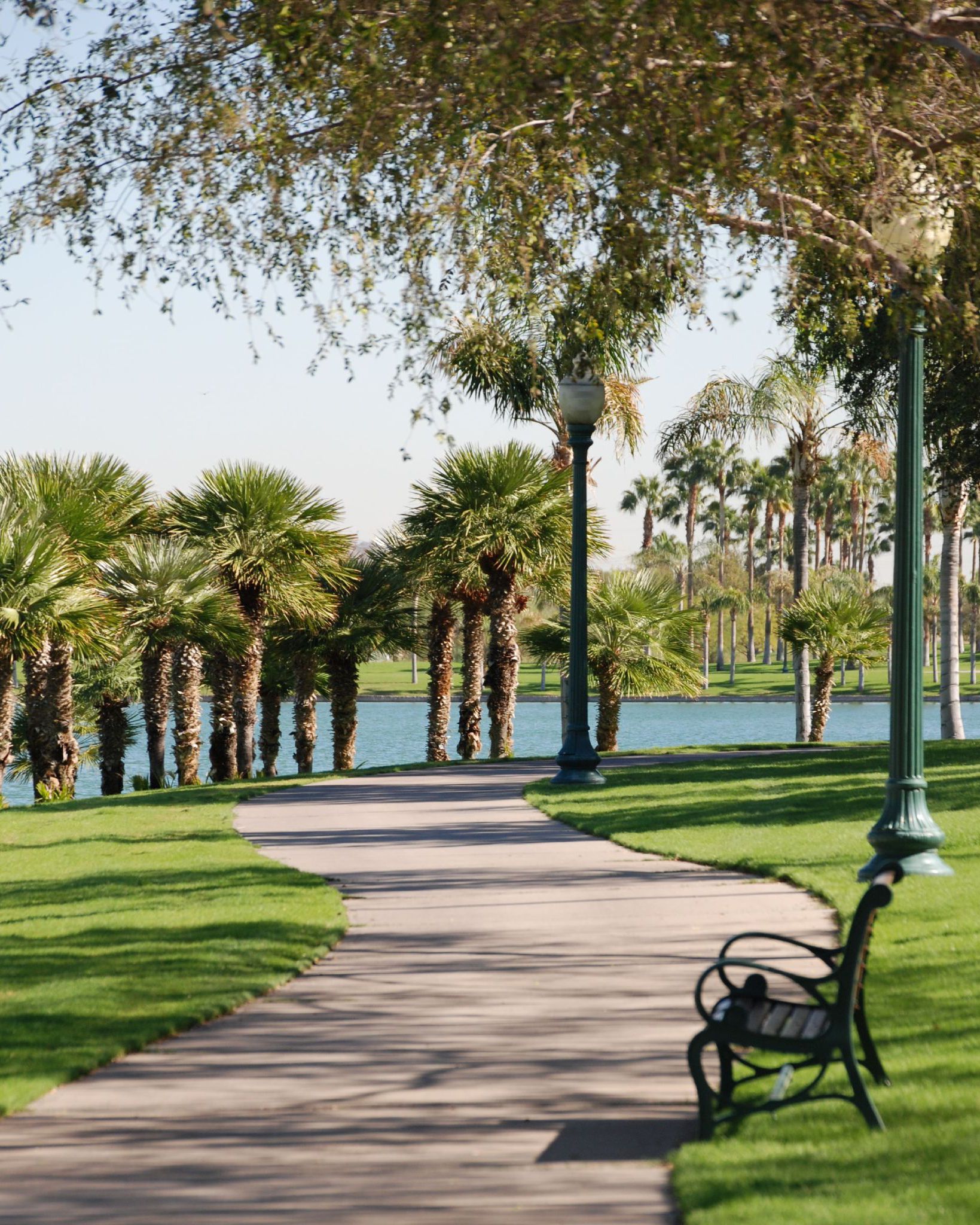 South Lake Park, Goodyear, Arizona on a sunny Day, bench on lawn over looking lake